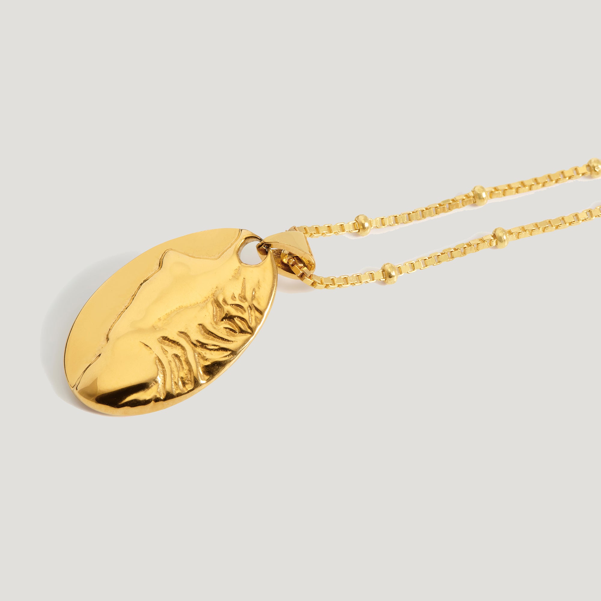 Fera Pendant Necklace in Gold
