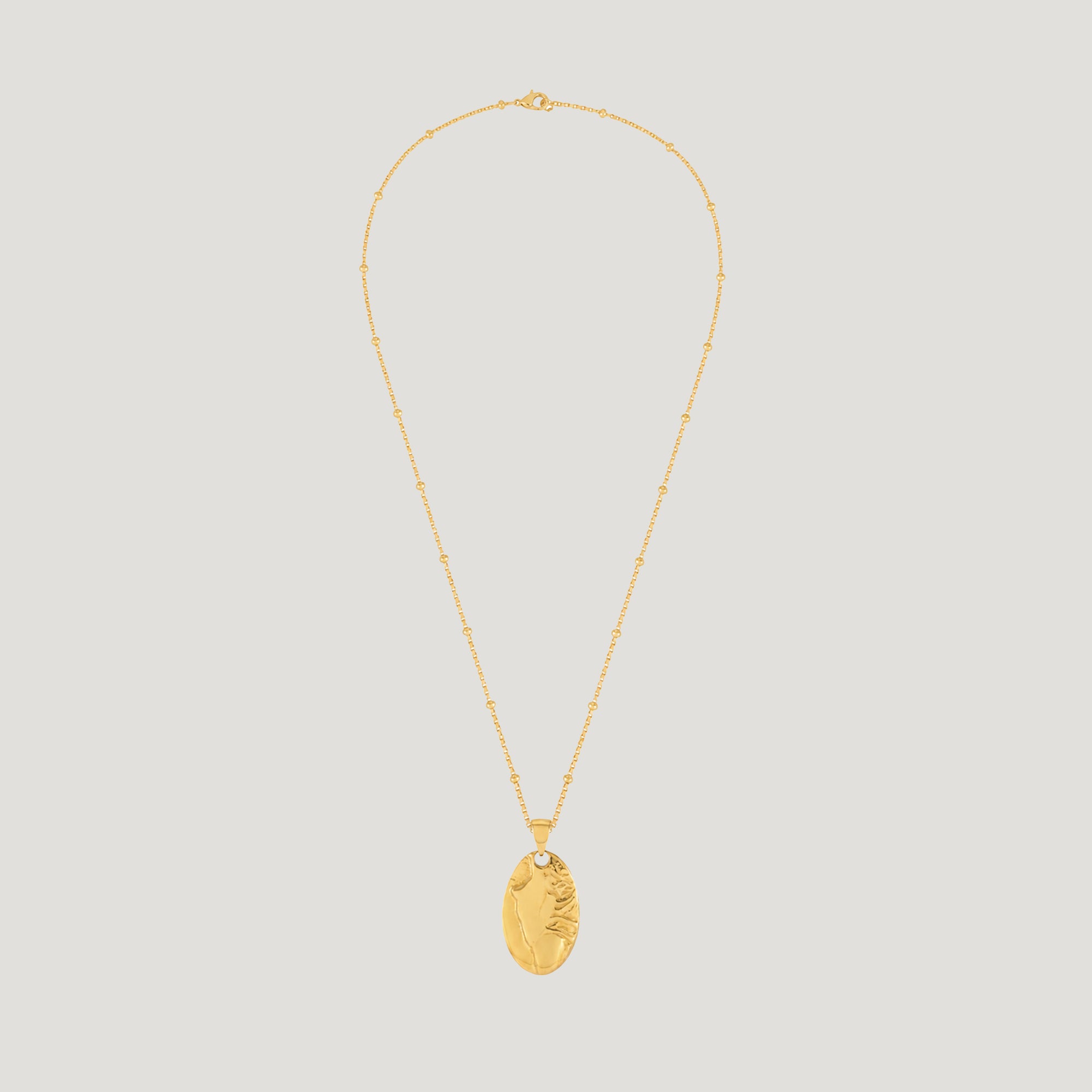 Fera Pendant Necklace in Gold