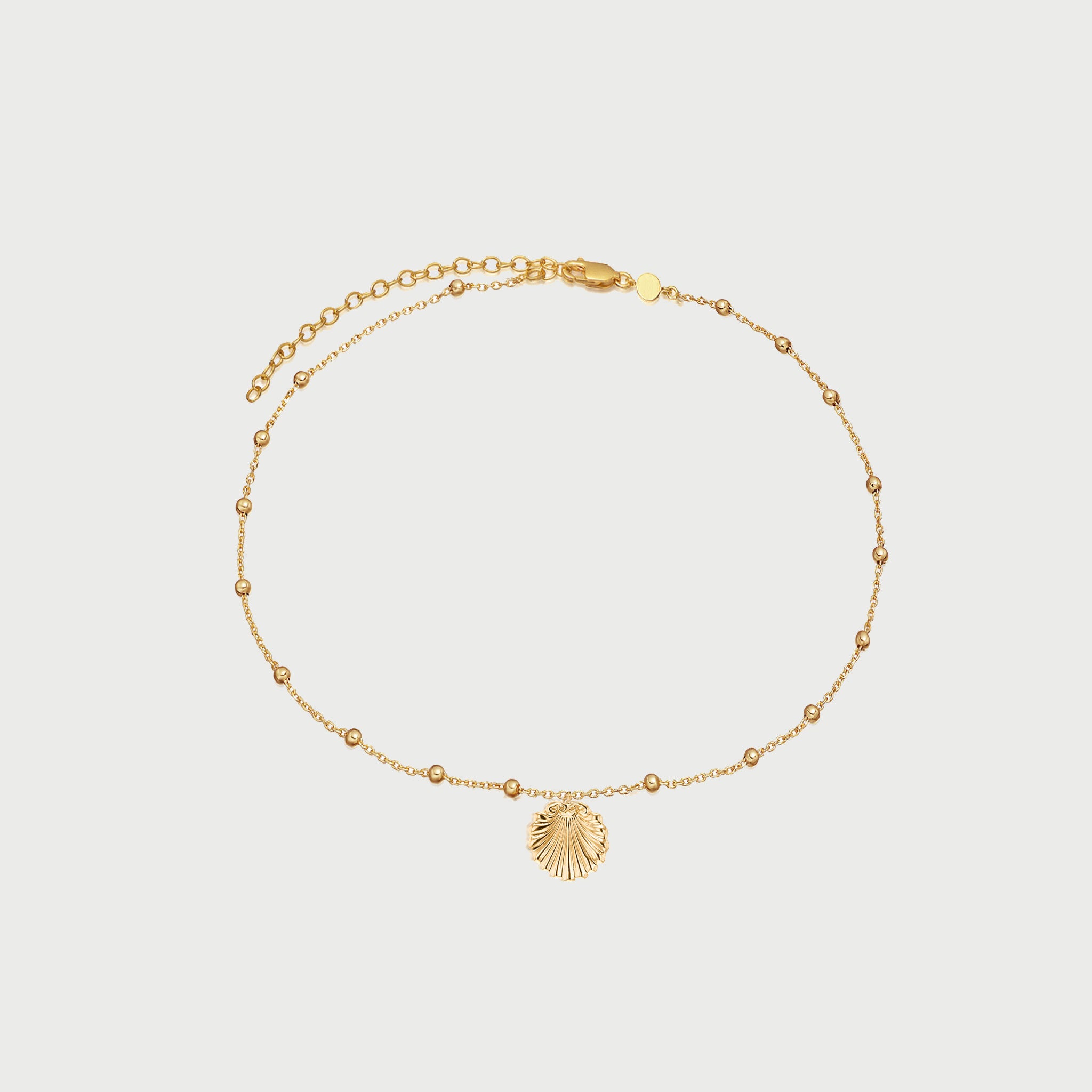 Conchigla Beaded Shell Choker Necklace in Gold