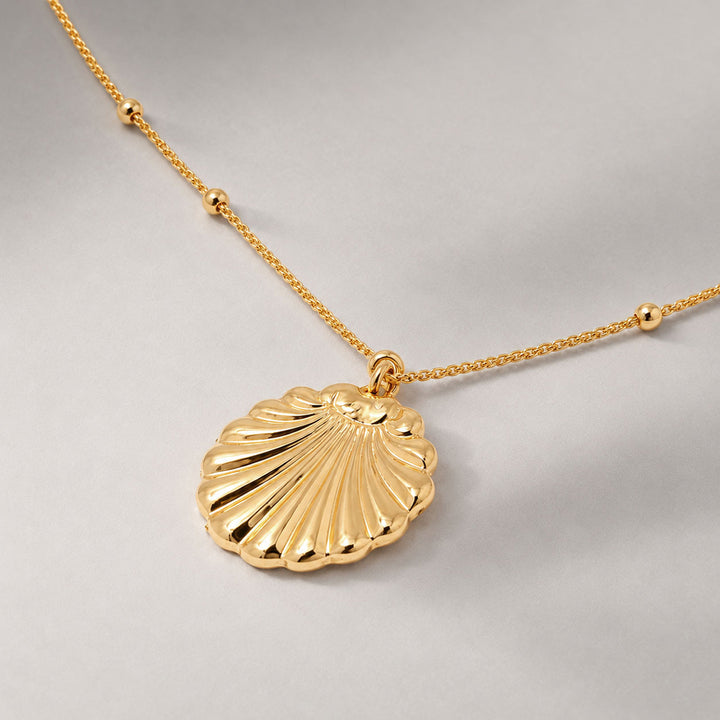 Conchigla Beaded Shell Choker Necklace in Gold