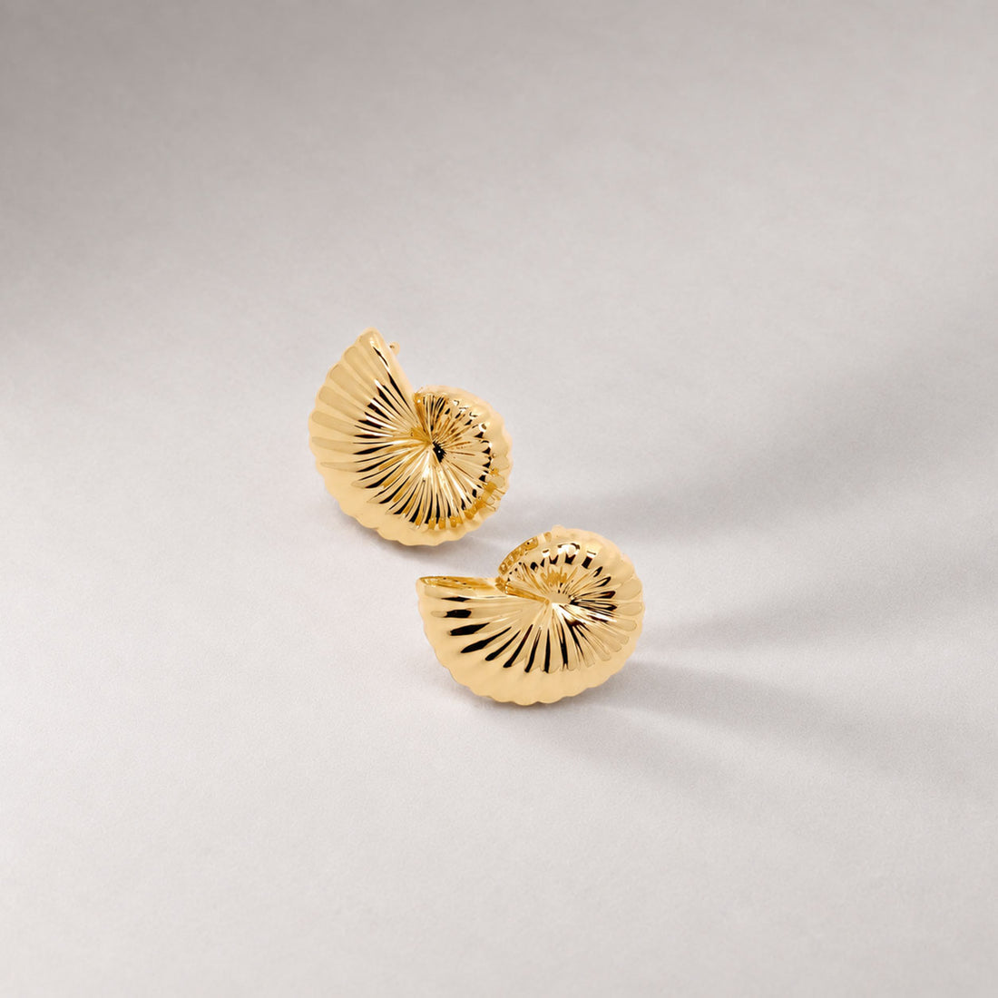 Moro Midi Shell Stud Earrings in Gold