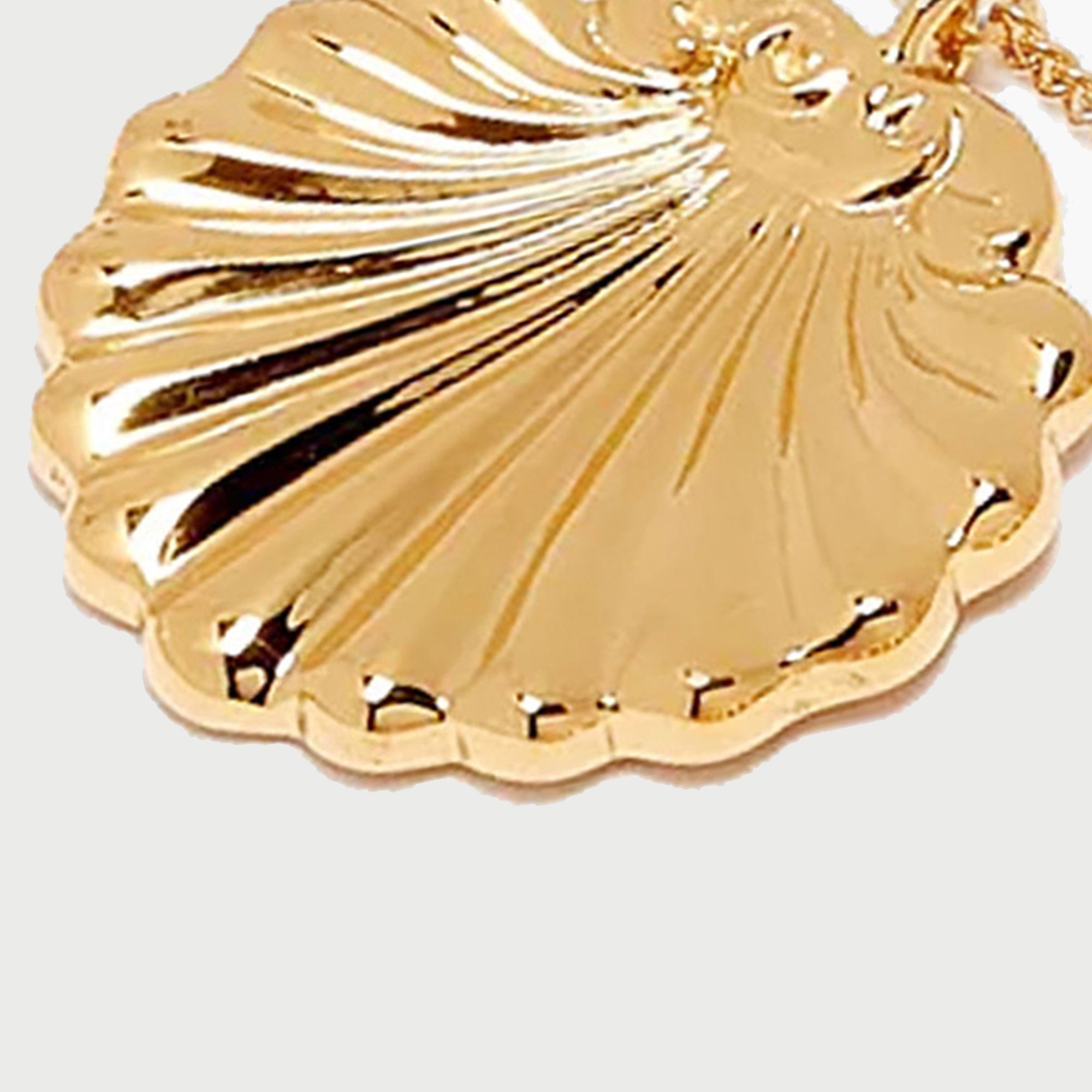 Conchigla Beaded Shell Choker Necklace in Gold