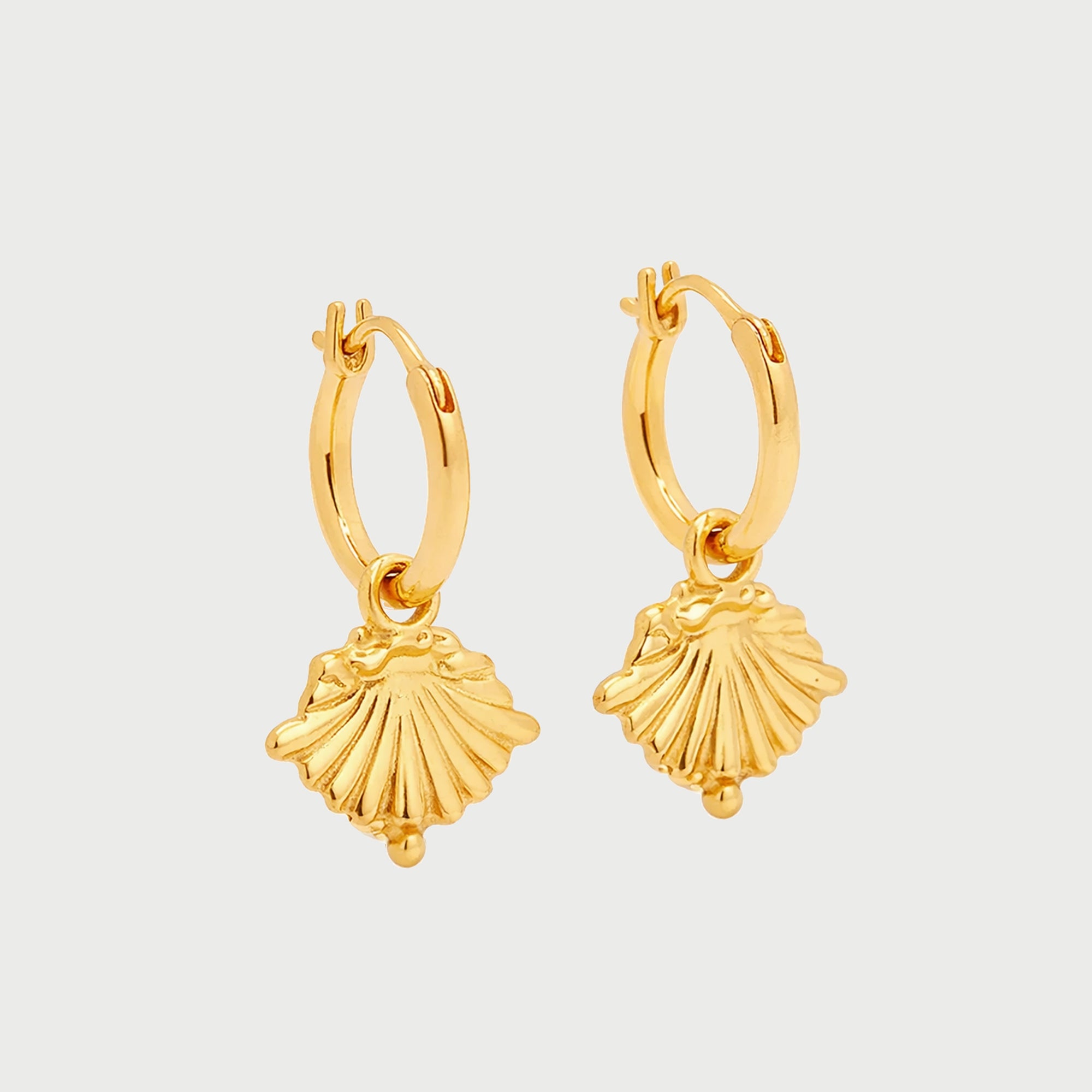 Concha Charm Maxi Hoop Earrings in Gold