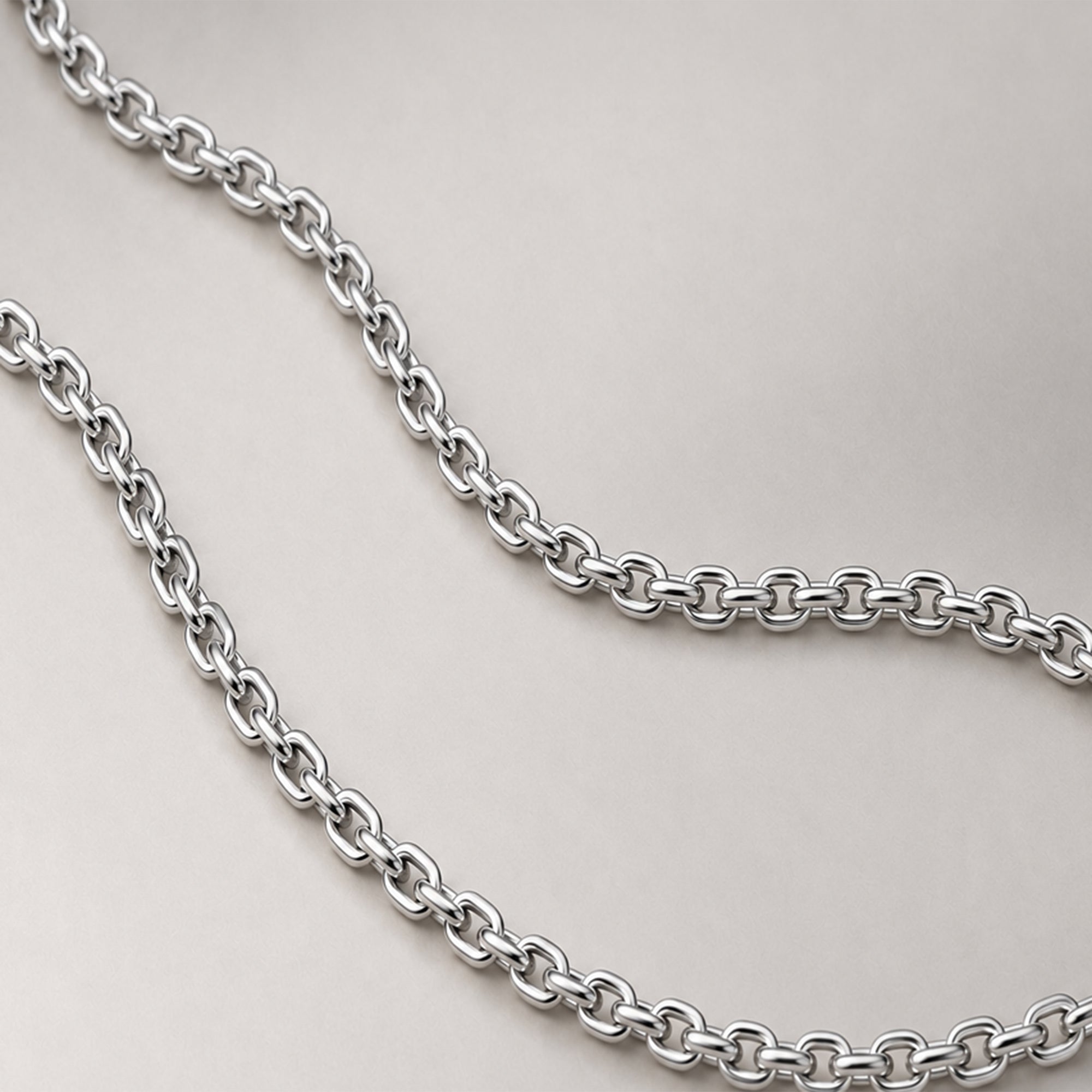 Rollo Chain Medium Necklace  in Silver