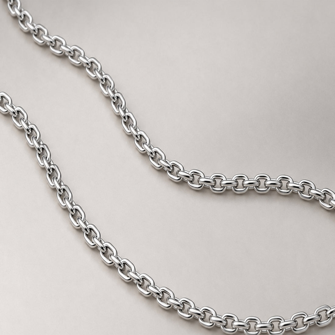 Rollo Chain Medium Necklace  in Silver