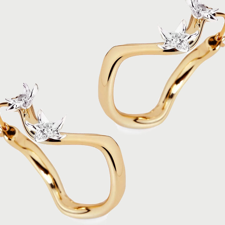 CALINO HOOP EARRINGS IN GOLD