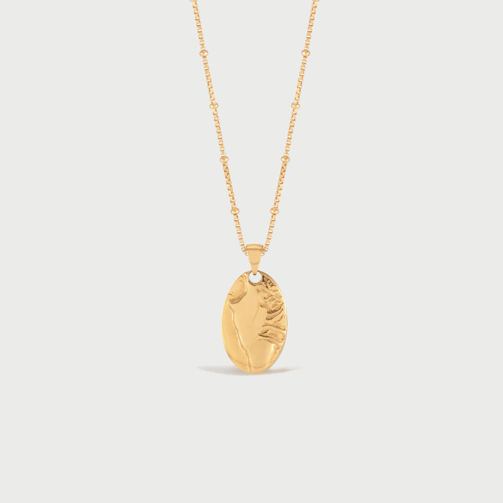 Fera Pendant Necklace in Gold