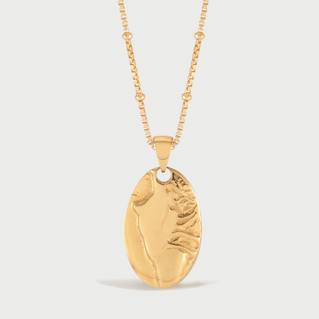 Fera Pendant Necklace in Gold