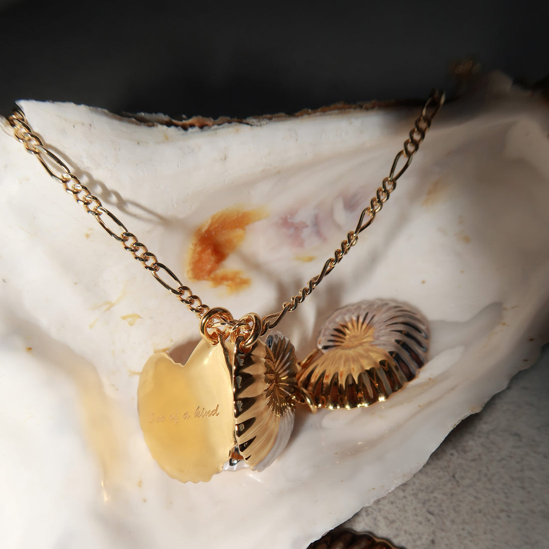 Coral Shell Medium Necklace in Two Tone