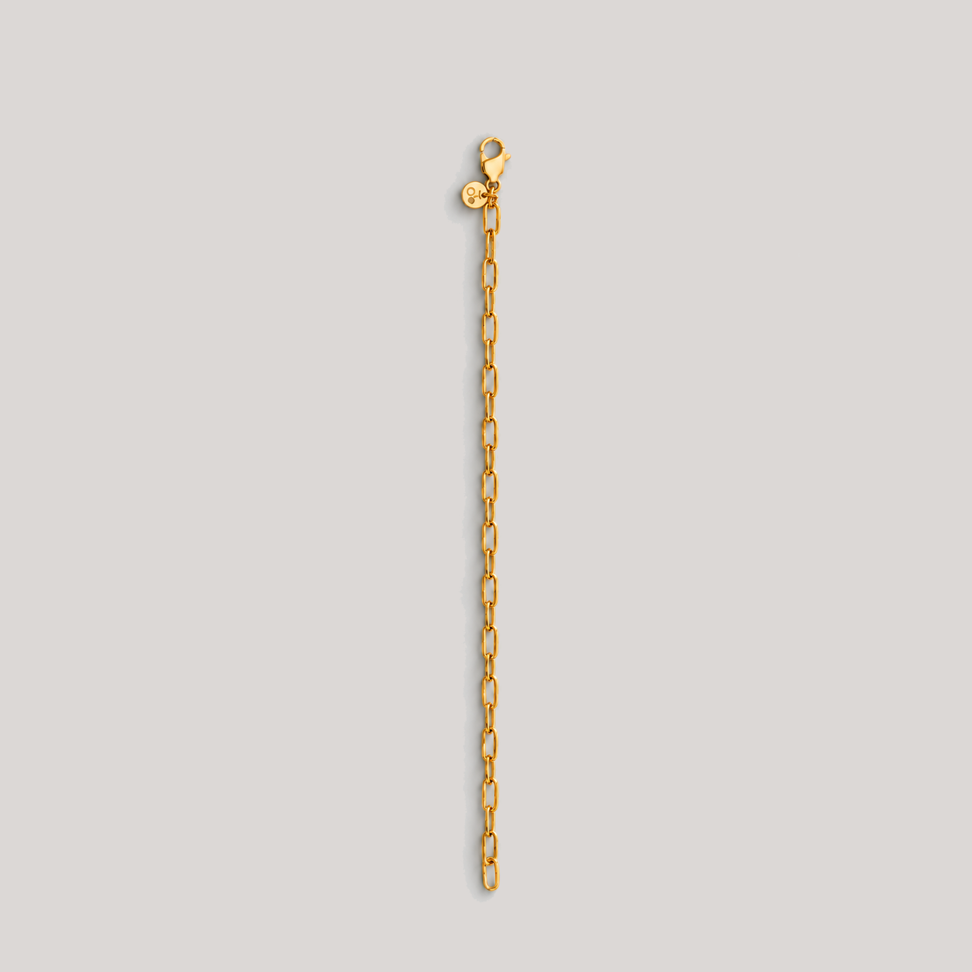 Laro Chain Bracelet In Gold