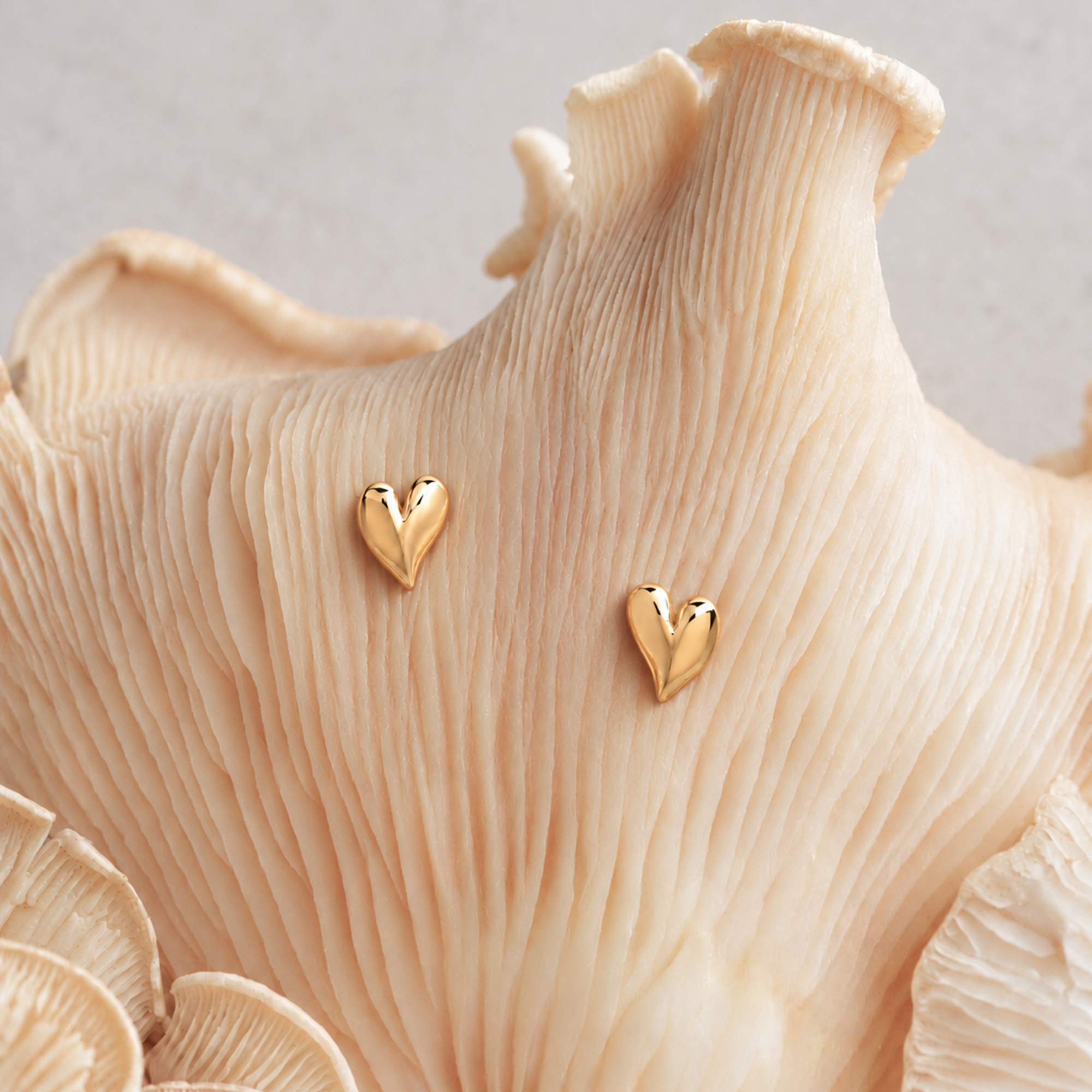 Mini Heart Stud Earrings in Gold