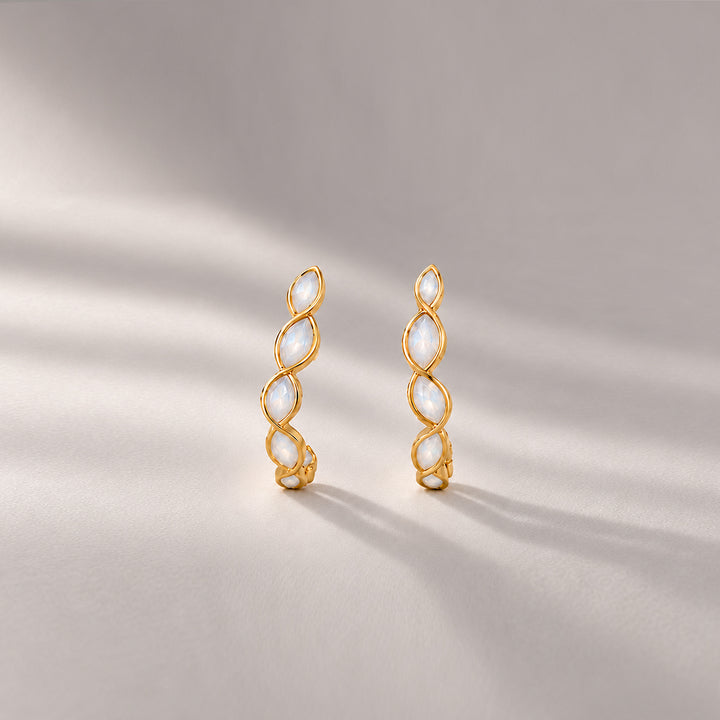 Marco Mini Drop Earrings In Gold & Crystals