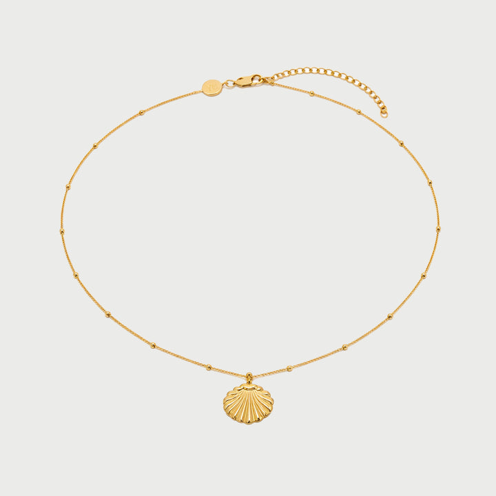 Conchigla Beaded Shell Choker Necklace in Gold