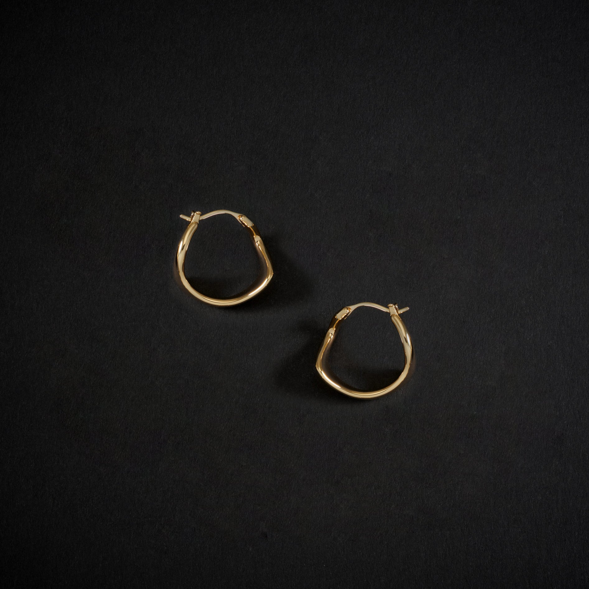 Curved Mini Hoop Earrings in Gold