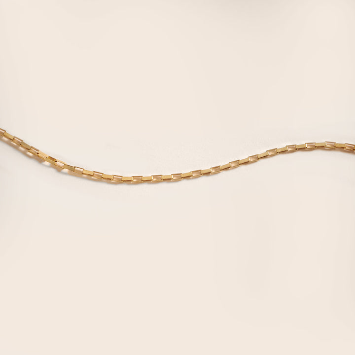 Fortono Choker Necklace in Gold