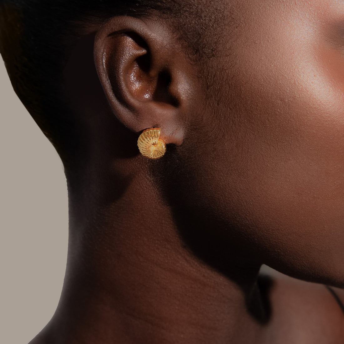 Moro Midi Shell Stud Earrings in Gold